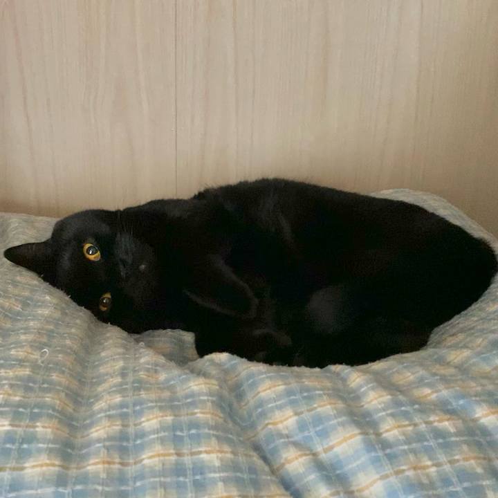 7bc4ad6d 7c01 4a30 9e32 adf751f6225b 1679144536958