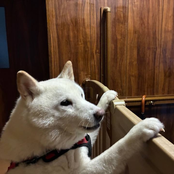 7bc4f4db c368 4e28 8a9a a310fd6ca8bd 1768202548168