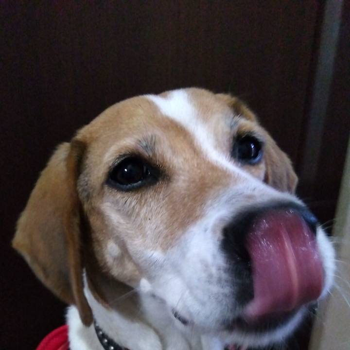 7bc4fb73 4e72 4543 a6d8 e90252d01452 1699693423097