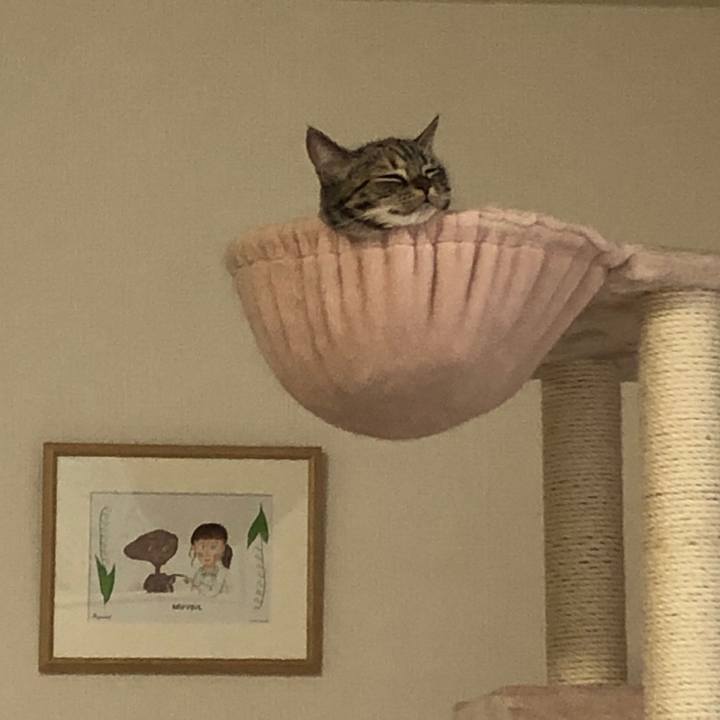 7bc50e54 e534 4156 8b5b f925f51ace67 1590457351794