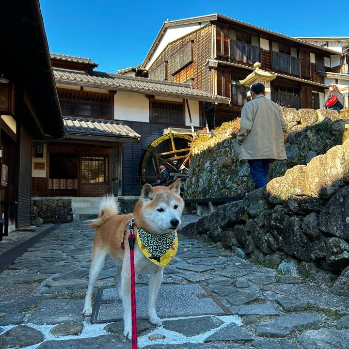 7bc50f52 c6cb 4c26 a6b1 90f34ad3f8e2 1763629486658