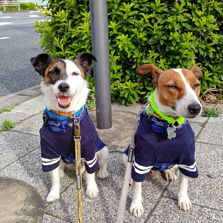 7bc51733 b89b 4beb 8cff 484d18c86c62 1623537019256