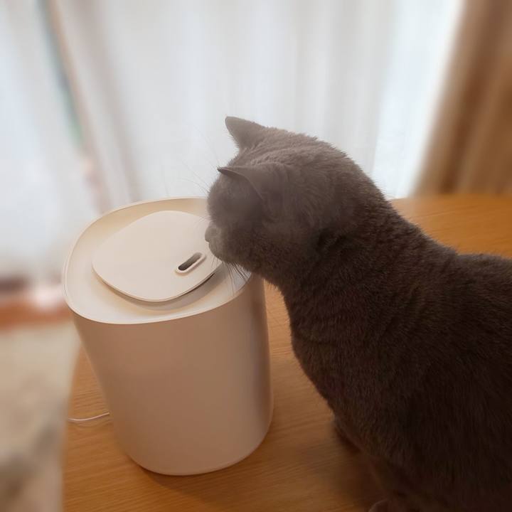 7bc5475e 6b47 490c a693 532e582dcc82 1763003403213