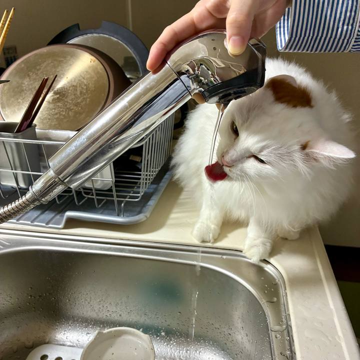 7bc56e9b 31cf 472b aa86 4d7deb00a0f8 1759626326775