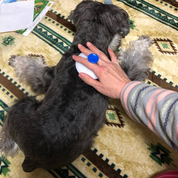 7bc5734b 6bbb 4330 af53 8d003d97e2fe 1586097715365