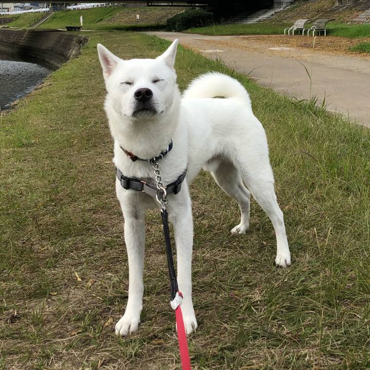 7bc59be1 f24f 4b05 b10e 66082cec7792 1544324568684