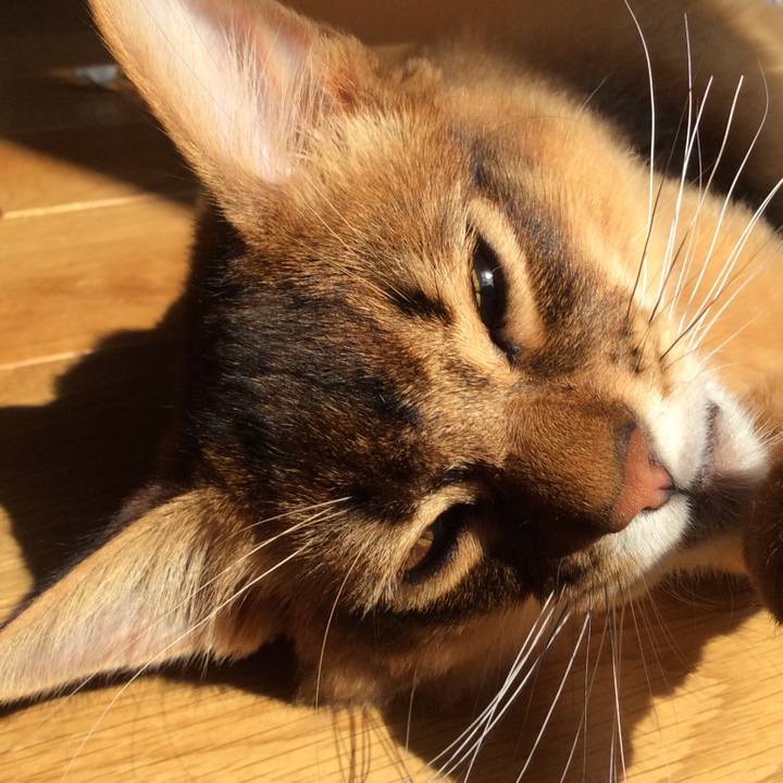 7bc5d71b d724 40e0 8d15 1eba378508ac 1582079255945