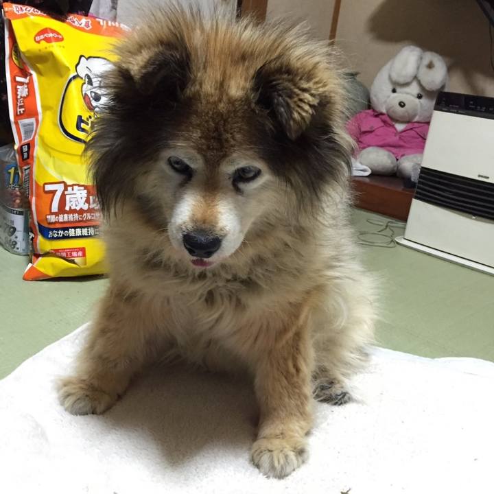 7bc5e605 80f1 4c50 ab6d 745fc32015db 1603027736863