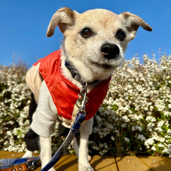 7bc62fb6 eb28 46bd b682 2be05ec47278 1741950004182