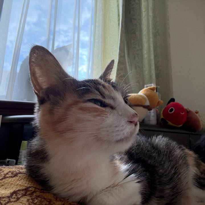 7bc64afb 8c82 4120 9e8e eb8835c45e41 1763247148230