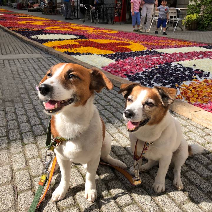 7bc64c0f b390 45b4 8e0a 91b9dd6032b7 1524966115747