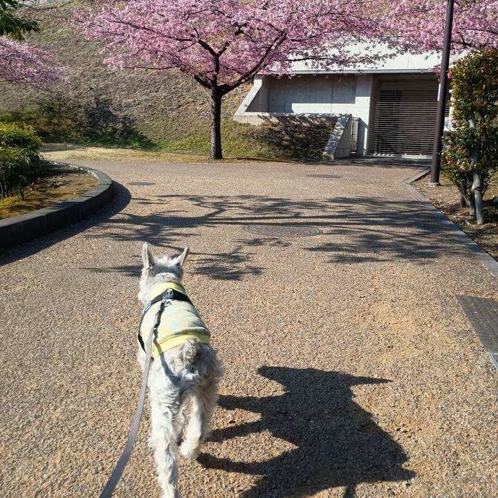 7bc695cd 8877 4aae 8bb1 c81b7204b76d 1773740569250