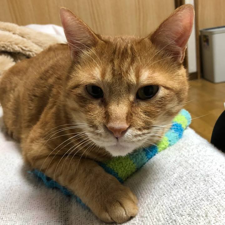 7bc6adb9 b29f 44eb aebd bf0166049967 1608128651635