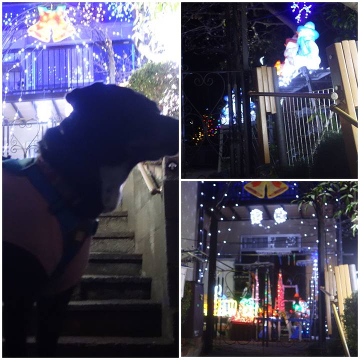 7bc6c5b0 96af 41dd 8a9e 4d2ef8dc799e 1703416835547