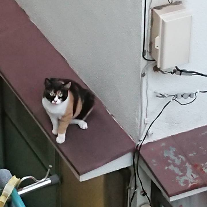 7bc738a1 4b64 4c9c 9600 506b5e3cc779 1536140565598