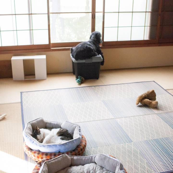 7bc75130 6bdb 429a b811 11989feafc89 1563864132615