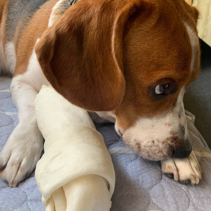 7bc7640c a47a 49fa abbf 6e00f98eea5c 1565494833555