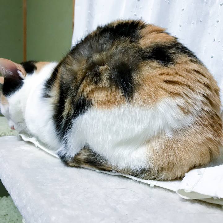 7bc78cfc 4339 4530 8d07 db9891cead55 1521335026649