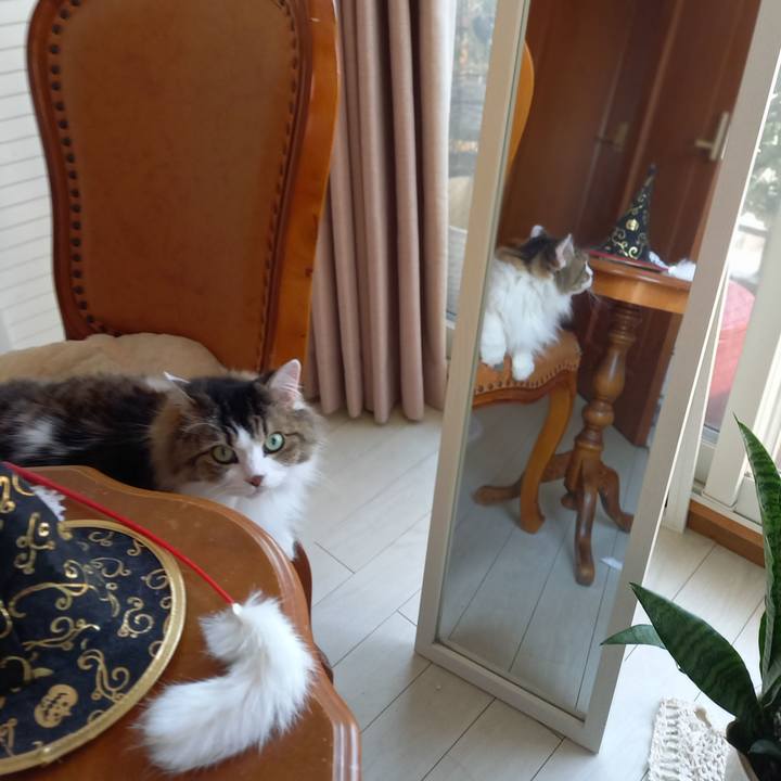 7bc7918e a346 4a80 b19b 4297a924cb68 1603944777120