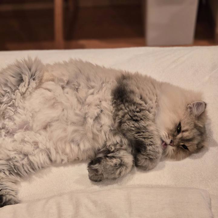 7bc79e78 b4b5 49ee 85c9 5b5afc851919 1760604556122