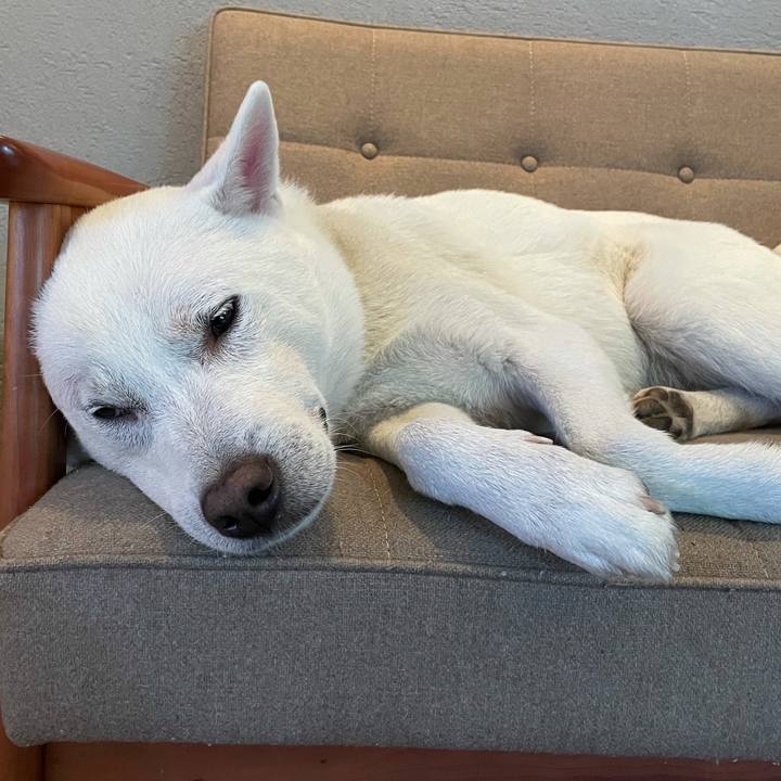 7bc7ac90 8161 4190 8b0d 16a8891fbd19 1609770471115