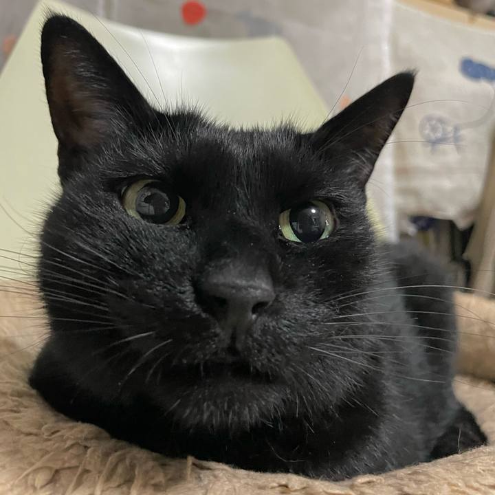 7bc7c870 5fc3 420f 870c f2c8654ade0d 1668428627887