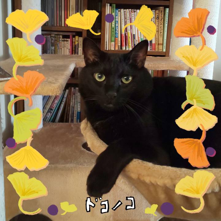 7bc7d0ce 9cdd 4f2f ae75 cd5da996a9c4 1729119559989