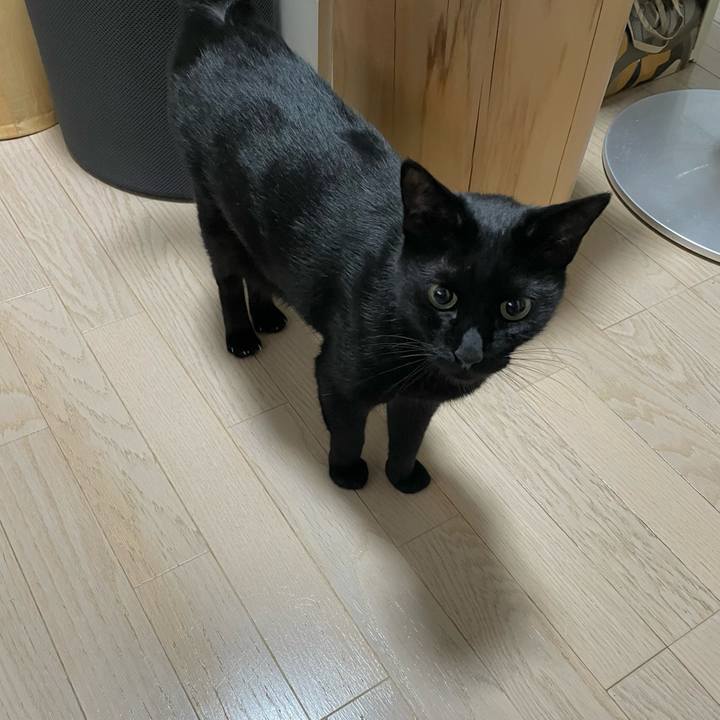 7bc7f0a2 932d 484f 9dba 0574725bfe2c 1664634249672