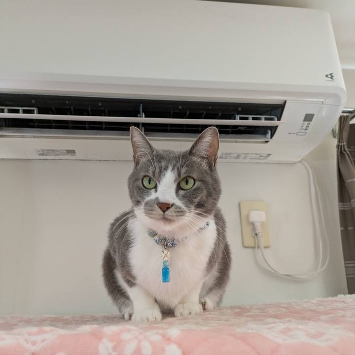 7bc8690b c9e5 49ce b1fb 633ebd6ffe55 1734410653444