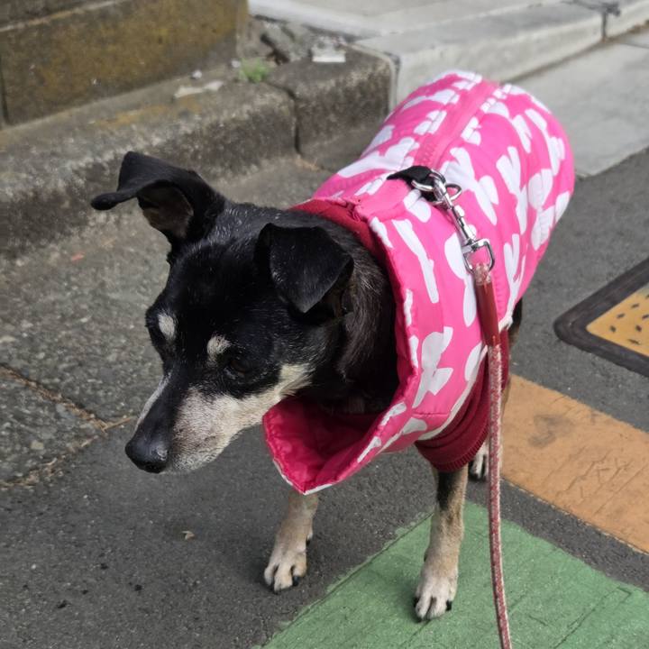 7bc86edb 4c30 4384 95b6 5f03fa9facf8 1771891756300