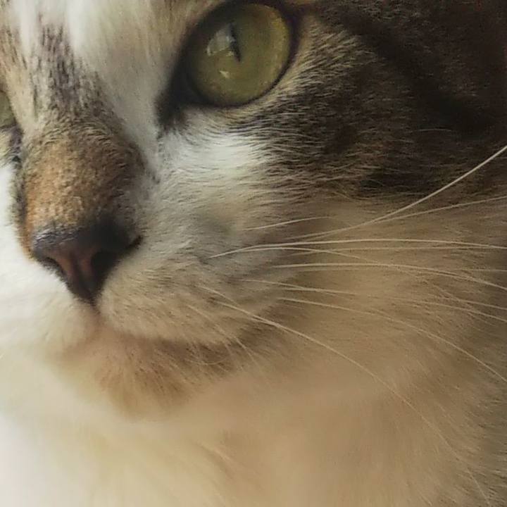 7bc8b76c b991 4739 ab2a 2703e0a24a05 1606792901868