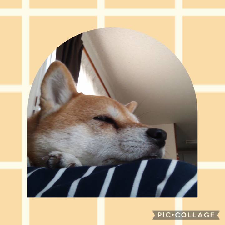 7bc8d593 80e5 462a 8647 967ea16e5475 1731303496185