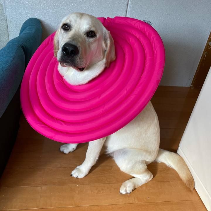 7bc8ee77 dde3 44cd 82d4 f7eab9bcb0df 1633844977178