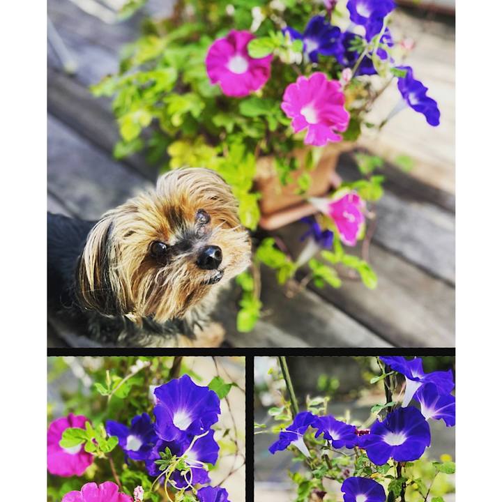 7bc92042 fdc6 4c10 b9dd 88c1880e84db 1661030808280