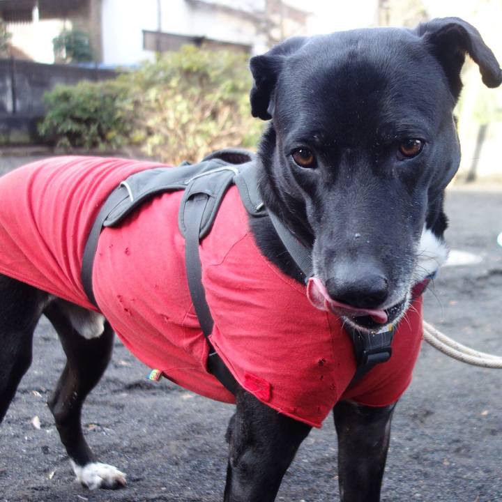 7bc92e31 8bc1 4357 bdb8 643933b6338e 1644632025772