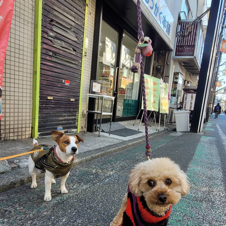 7bc984ff f92f 418c b2b6 b3185f54221e 1705032910387