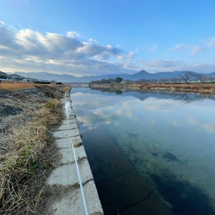 7bc9a609 571c 432f b38d b807a901183a 1611185555906