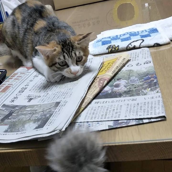 7bc9ec47 8ef2 452e 8c77 11d49fa39c06 1628763740256