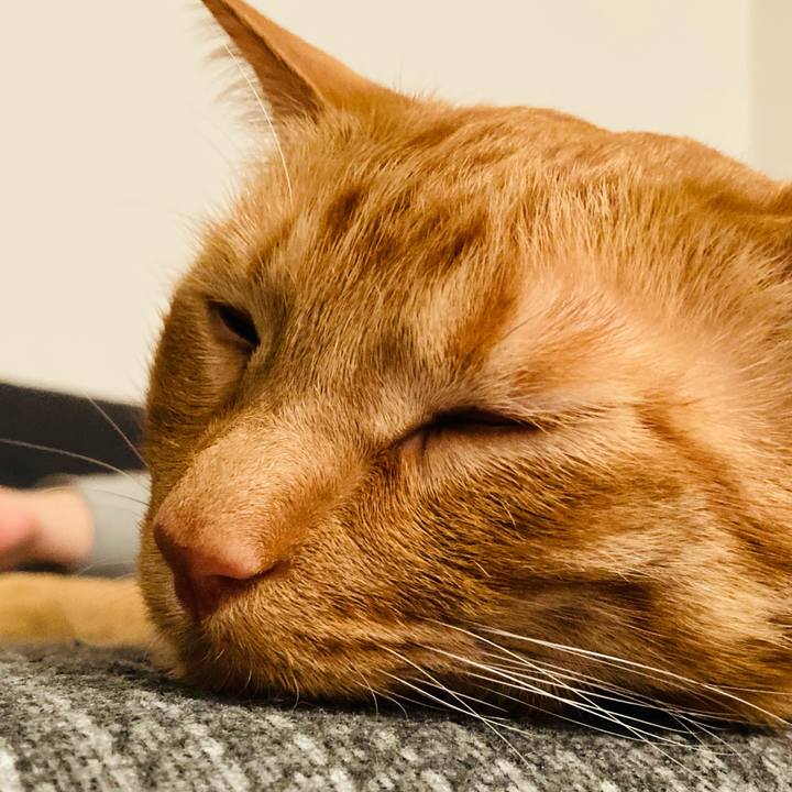 7bca800e 1634 451c b96d 58c7106c7cec 1617105613572