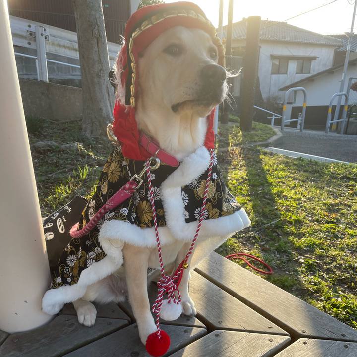 7bcb6e44 512c 40dd b6c5 68664310dae8 1640965594168