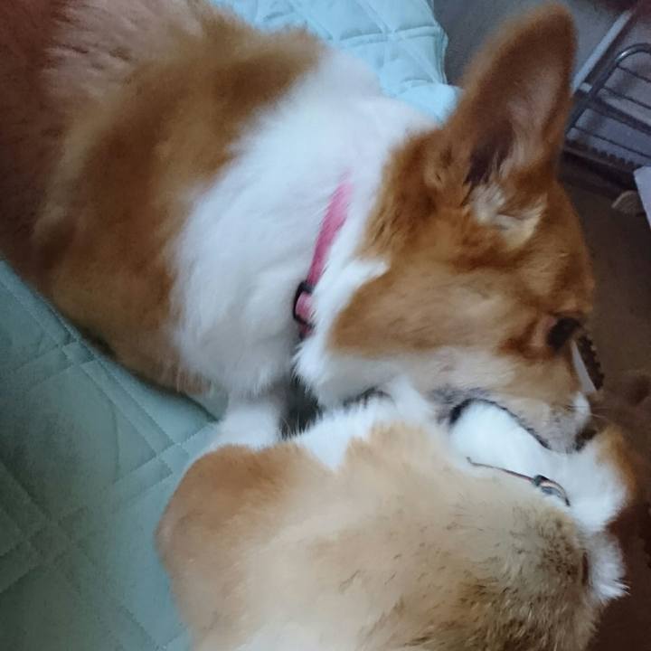 7bcb763a dcbb 4870 9293 f34ccaad7ef7 1534919027879