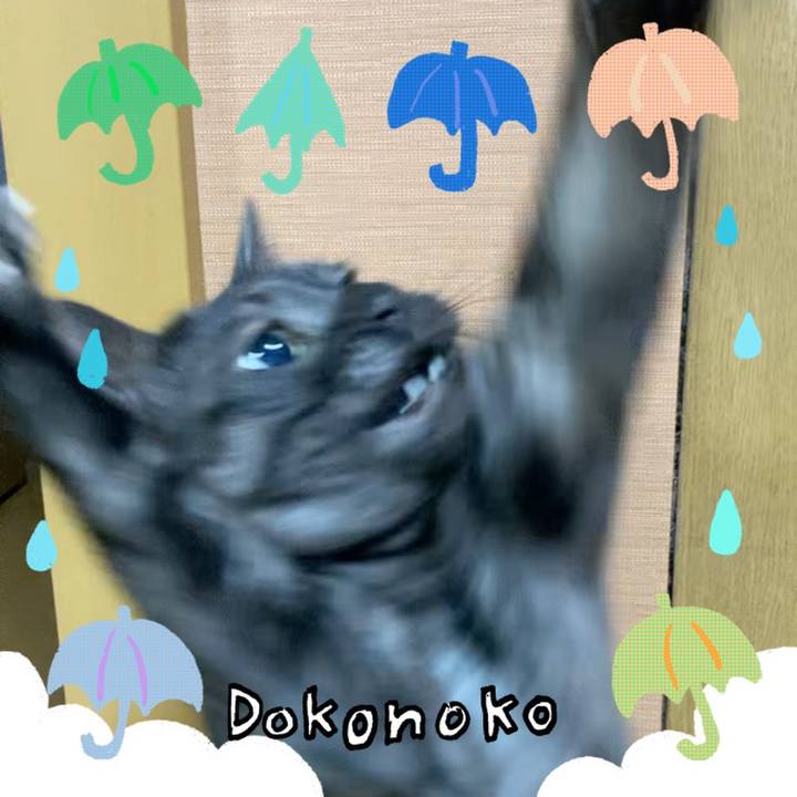 7bcbb21d 7cfd 4bcb 8e52 0a1c1fd54dfb 1717683249648