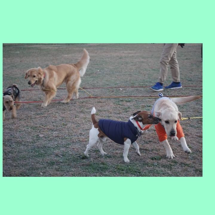 7bcbb2d4 04e1 4661 a2f2 fdd048038cda 1608160420563