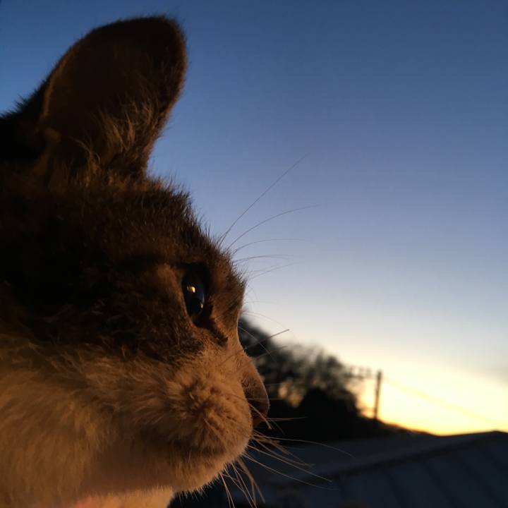 7bcbd277 36b3 4965 902d d092a6fec8c8 1517993275201