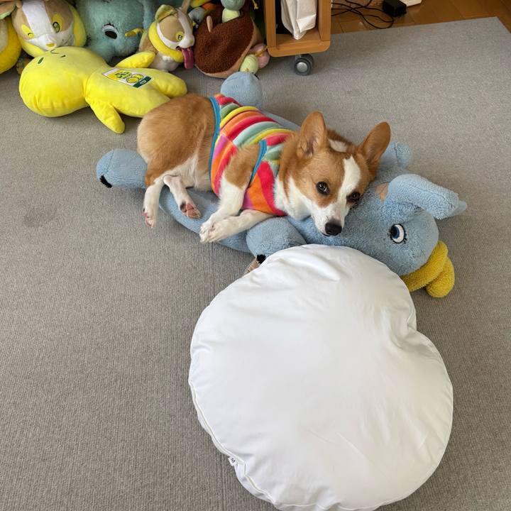 7bcbd298 029f 4a05 9ced e675efcd476b 1765261855371