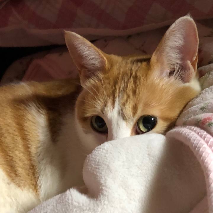 7bcbe99a 73cf 47b2 acb2 8a7f1944f6cd 1551452453865