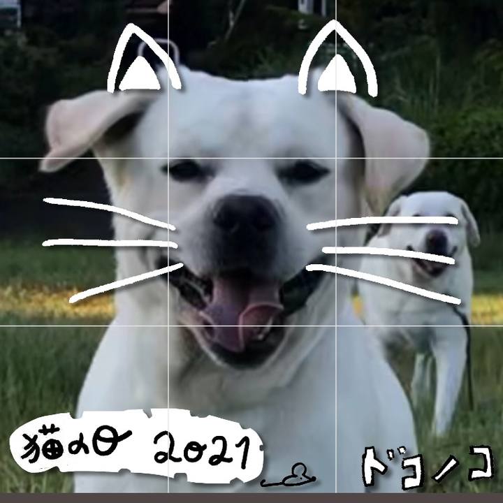 7bcc153f f46c 4500 b9ea 3ef5fe6d8eda 1613994426659