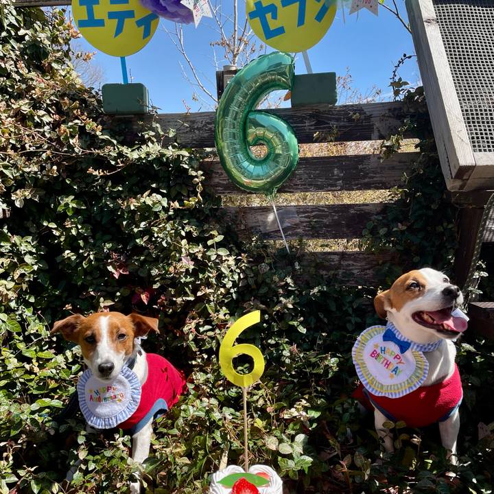 7bcc6b33 d308 4aad bc14 fc2d87d8d117 1648373190815