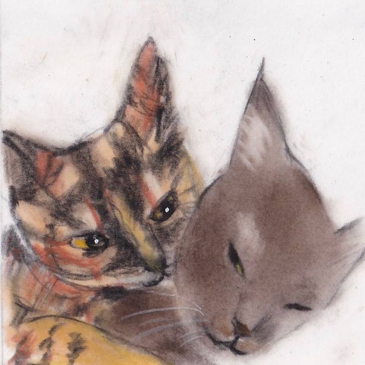 7bcc7a33 b306 43f7 8b0c 53cf423dfc55 1673098973135