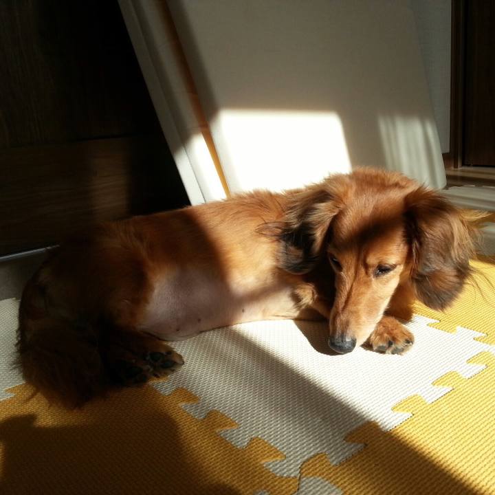 7bcc7af9 6df2 43ce 987a b4eb897d770b 1520508235288